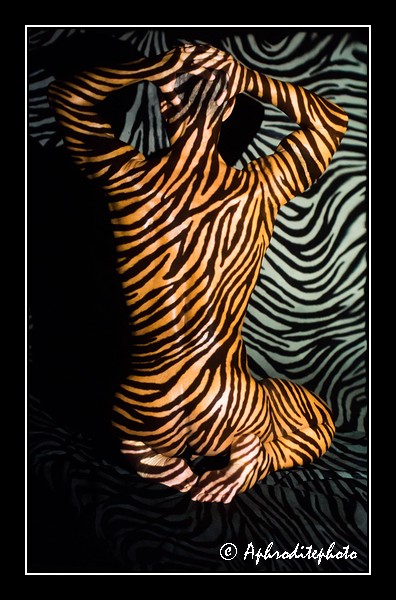 114 Body lightings men